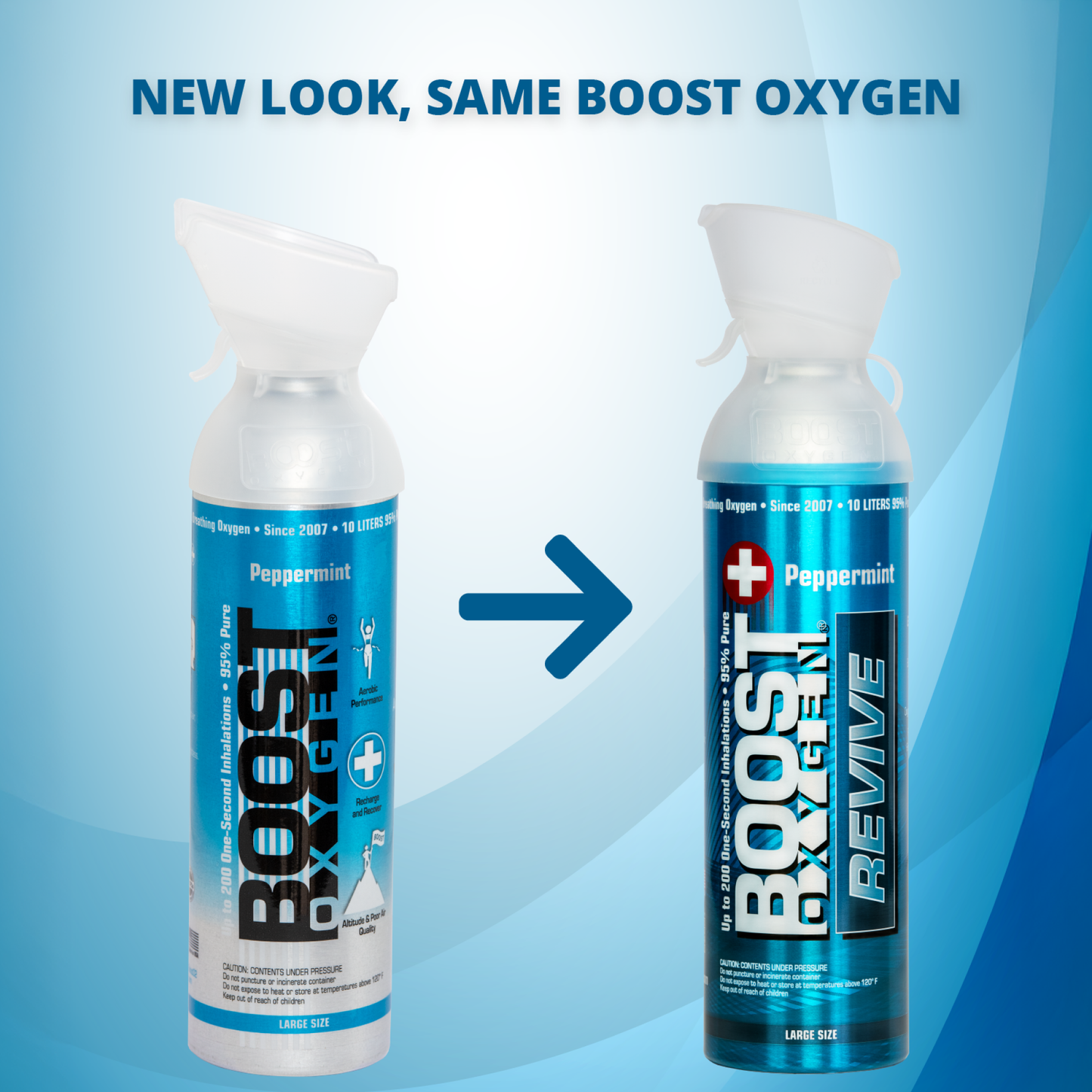 Boost Oxygen REVIVE Peppermint - Large 10L - 6 Pack