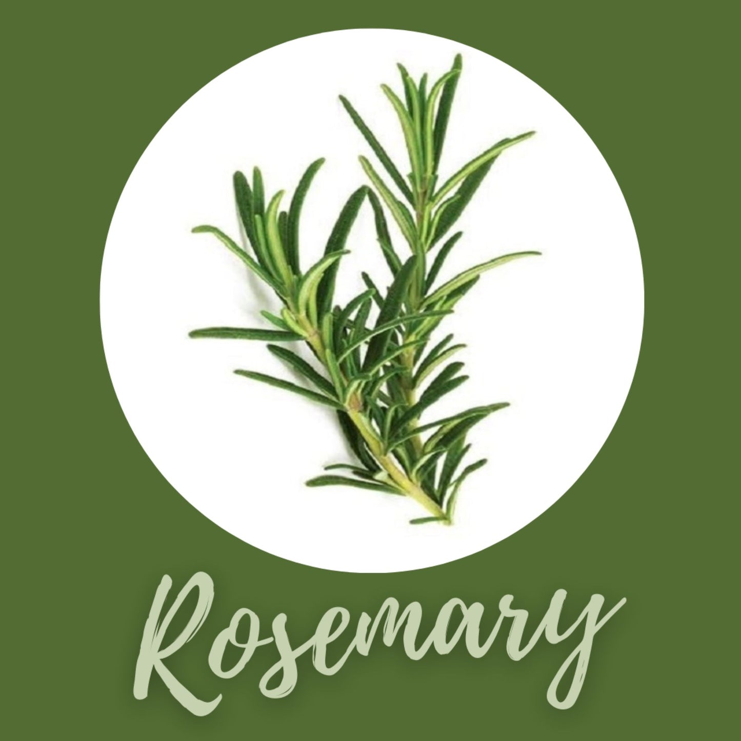 Boost Oxygen FOCUS | Rosemary - Large 10L - 12 Pack