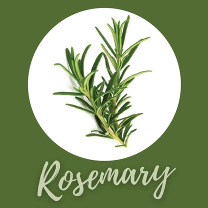 Boost Oxygen FOCUS | Rosemary - Large 10L - 12 Pack